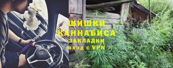 стаф Ладушкин