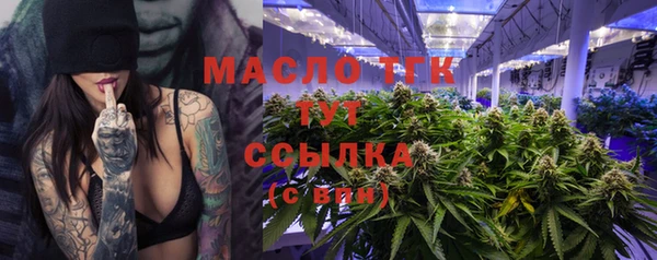 стаф Ладушкин